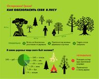 Как обезопасить себя в лесу!
