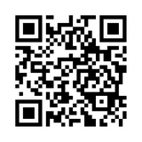 Анкета доступна по QR-коду, а так же по прямой ссылке: https://bus.gov.ru/qrcode/rate/462851 
